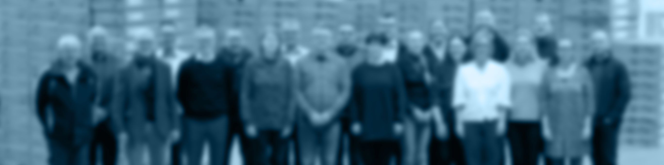 Karriär på Scandomestic